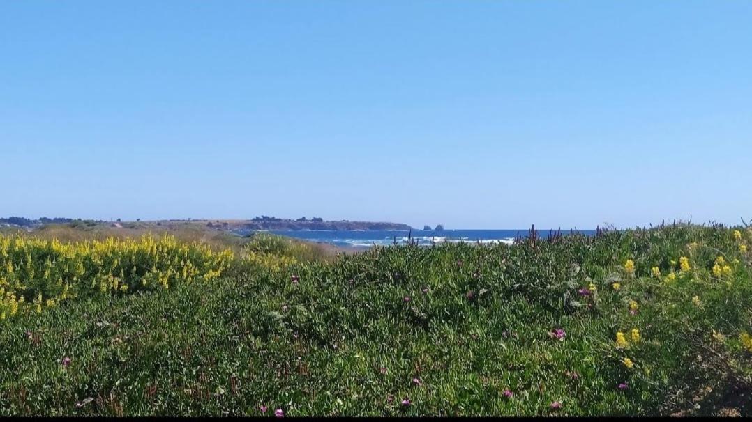 SaldeMar Playa Hermosa Pichilemu Exterior foto